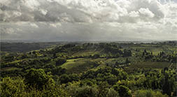 Chianti Landscape